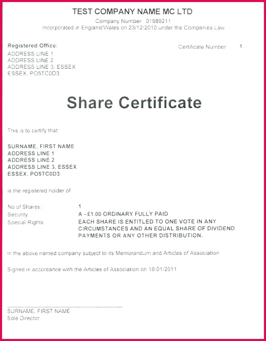 blank share certificate ate free stock word format ideas south