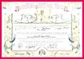 7 Shellback Certificate Template Pdf