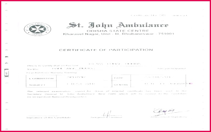 certificate of participation template awesome free best inspirational cone hat printable certifica