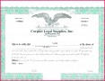 5 Stock Certificate Template Llc