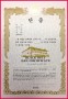 5 Taekwondo Rank Certificate Template
