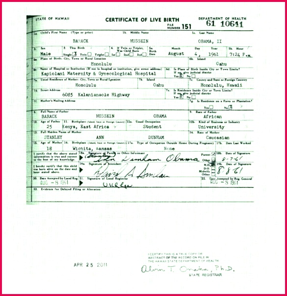 birth certificate template create fake how to make a that looks real templates