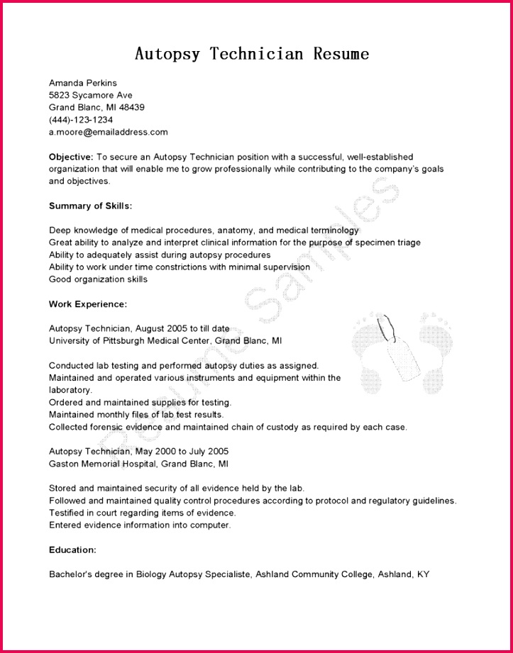 Size of Sample Certificate For Project File Archives Consultingco Size Safety Award Fresh