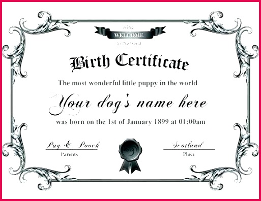 puppy birth certificate template blank images baby templates for flyers free pet microsoft word do