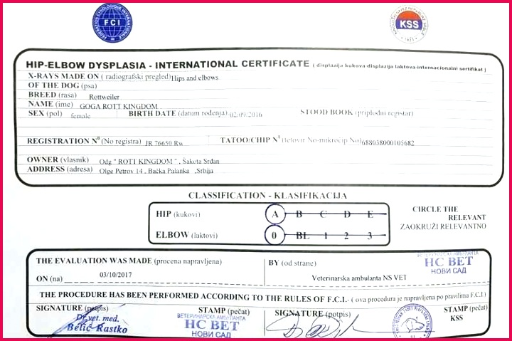ficial Birth Certificate Template Luxury Puppy Magnificent Dog 720479 official birth certificate template luxury puppy magnificent dog printable certificates certific