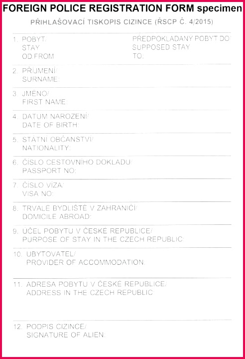 birth certificate translation template – newgameplus 492720 birth certificate translation template to beau divorce from spanish