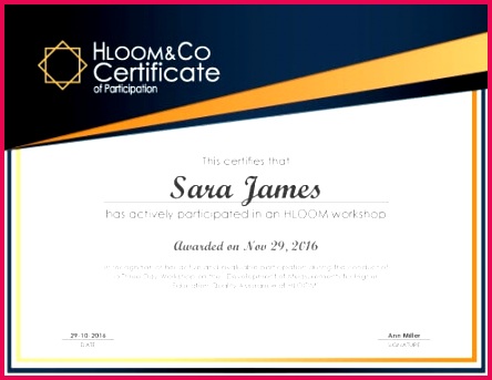 Workshop Participation Certificate