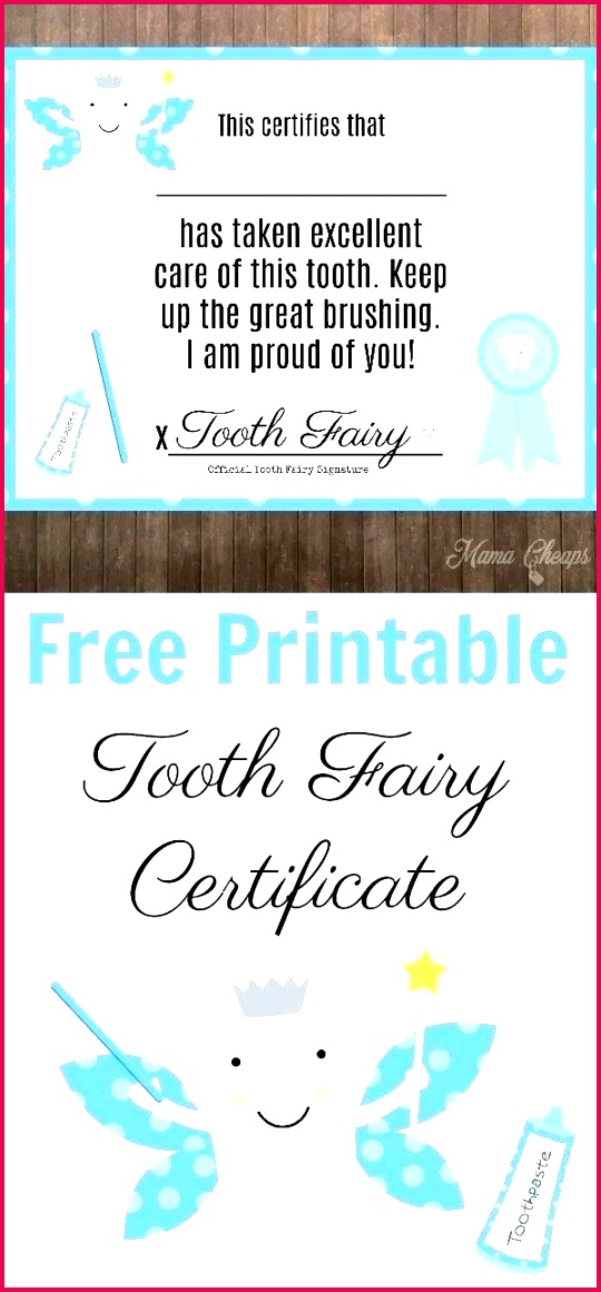 tooth fairy certificate first template printable fresh best kids parenting advice and tips images on full free letter boy c