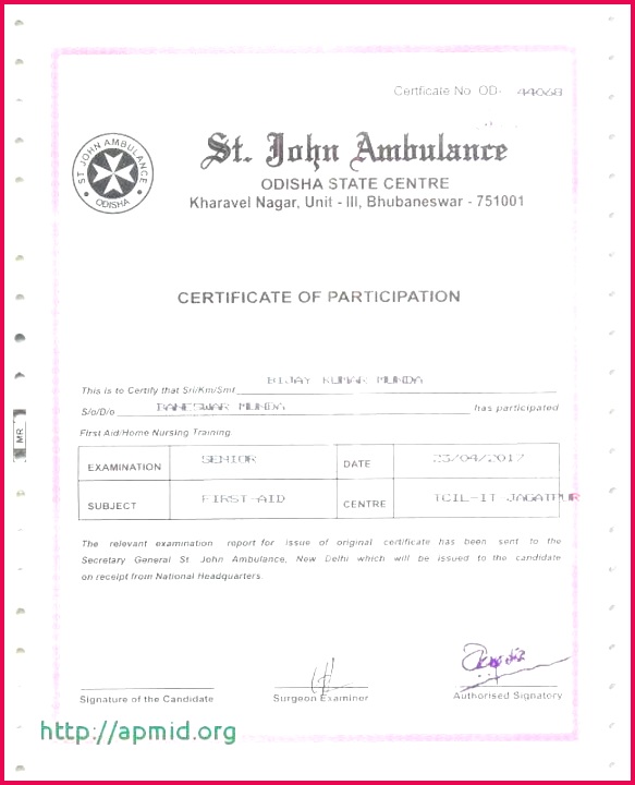 membership certificates templates best of army good conduct medal certificate template free website llc