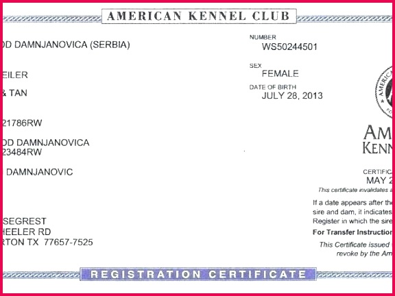 uk birth certificate template certificate translation template new official blank birth full birth certificate uk template