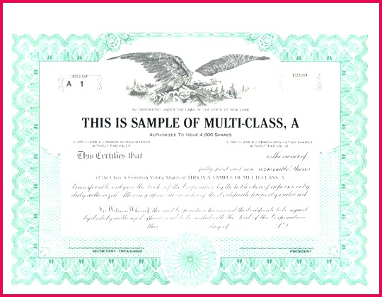 sample stock certificate ms word share template standard certificates samples cs cipc