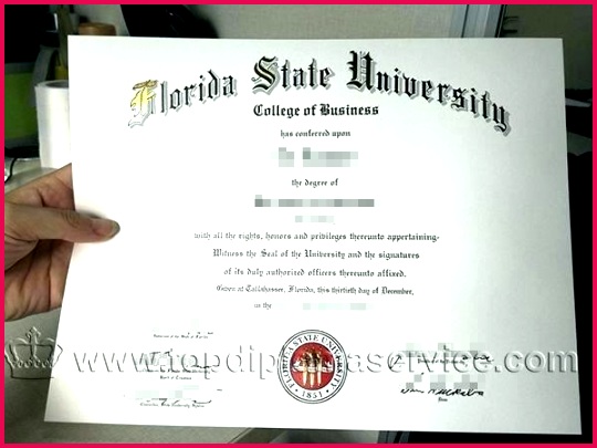 generic certificate template free fake degree certificates bachelor