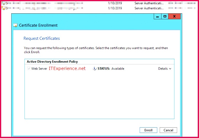 Renew Certificate Available Template