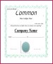 7 Word Blank Stock Certificate Template