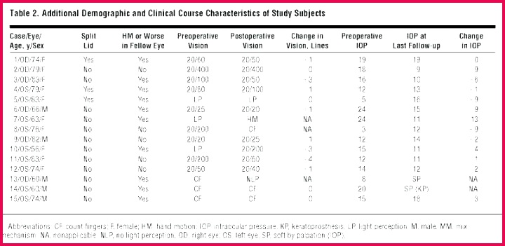 unique free printable baseball certificates templates blank certificate t es of appreciation awesome volunteer e template