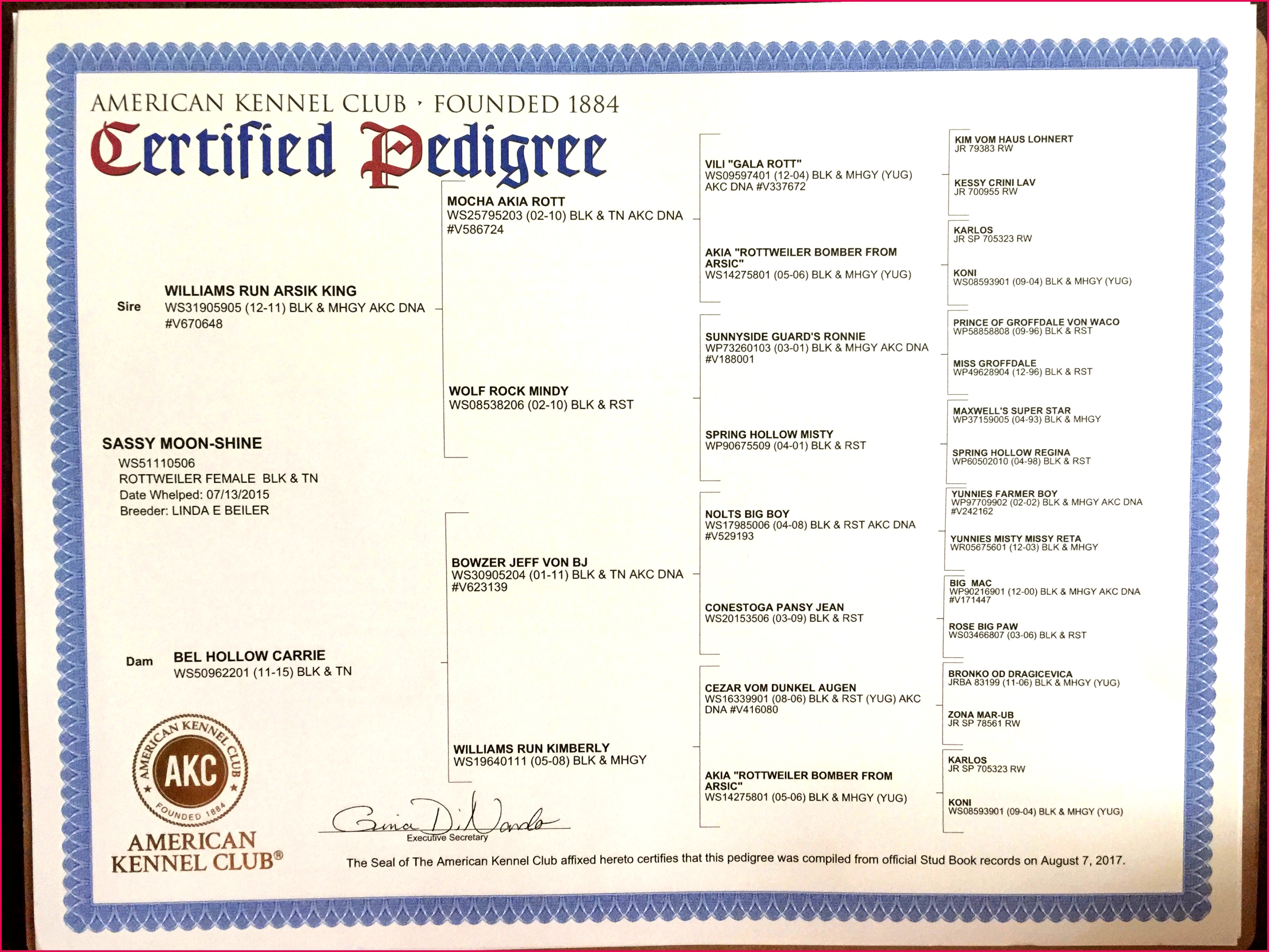 birth certificate template word new birth certificate nyc same day sample birth certificate apostille of birth certificate template word