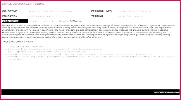 border template for word beautiful free certificate templates of in document temp