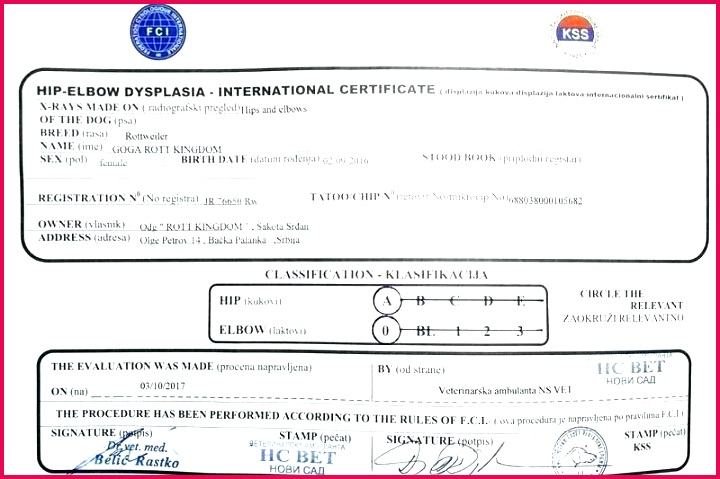 health and safety certificate template sample of best employee t the quarter cer
