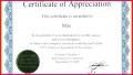 6 Word Template for Certificates Of Appreciation