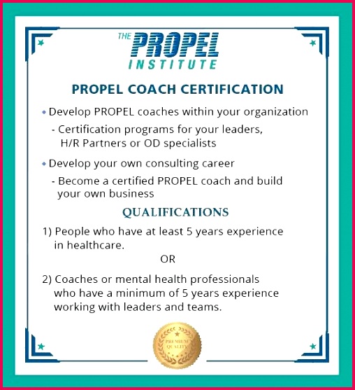 health and wellness certification example unique gallery certificate template sample coach appreciation corporate