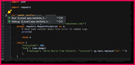 pycharm local run debug