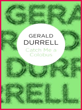 6B6C4424 99D2 4C73 A02D 07B82D85D763Img400