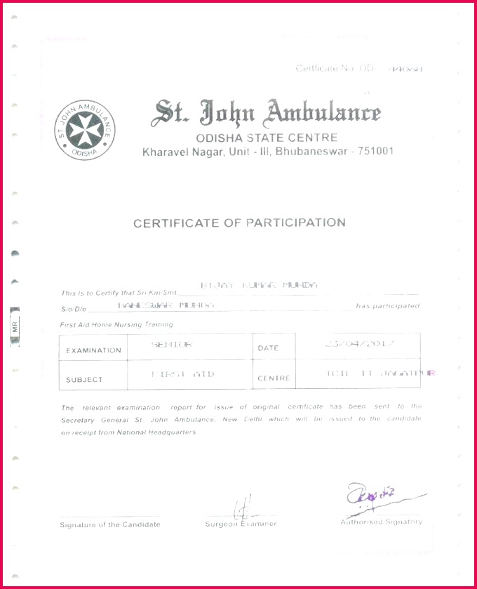 kindergarten graduation diploma template luxury i survived certificate new preschool sample word free editable templates lux