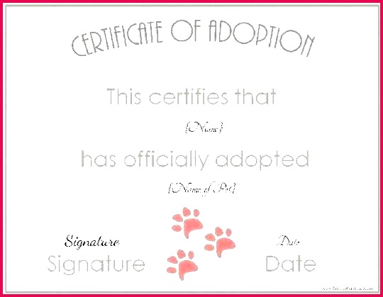 pet adoption certificate plate cat free puppy birth printable certificates plates of animal party pe