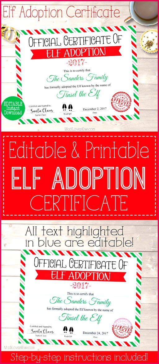 Personalized Elf Adoption Certificate 5131170 13c 3