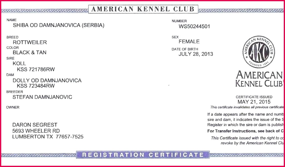 best birth certificate template word document top fake adoption doll reborn free new baby certific