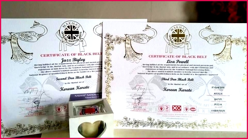 martial arts certificate ates new black belt certificates to members of the matrix ate free karate template