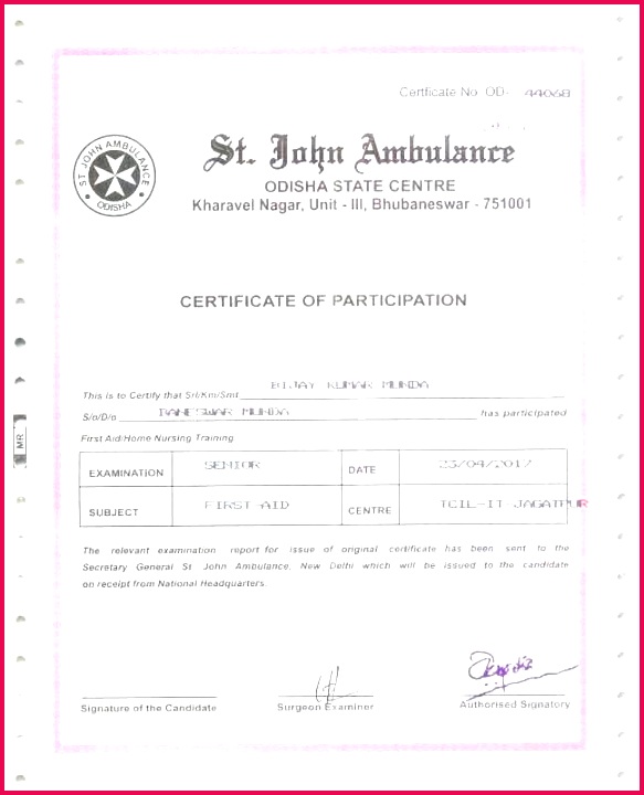 birth certificate templates luxury insurance template free official cover examples