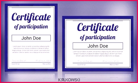 Sample Participation Certificate