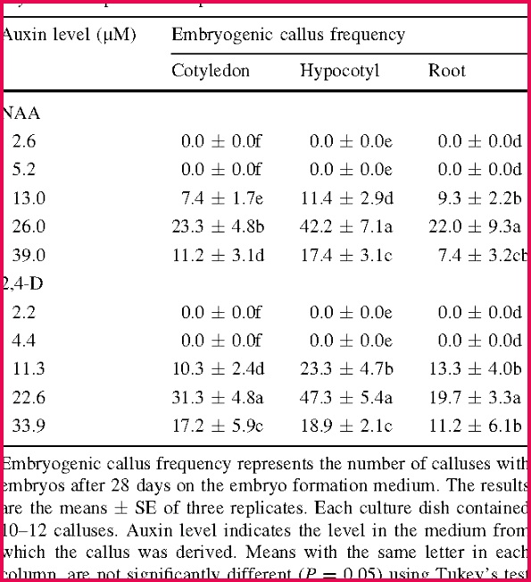free therapy notes template unique empty certificate templates word templates for certificates of free therapy notes template