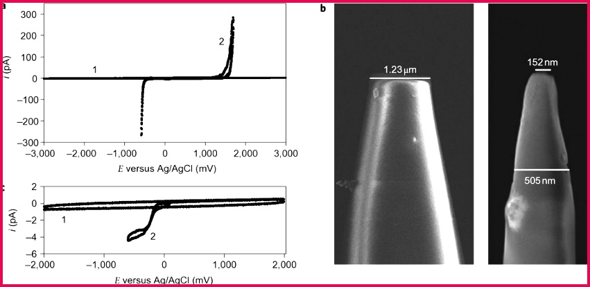 nchem 645 f1
