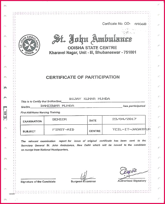 best perfect attendance certificate template beautiful free training word format award synonym deutsch of customize attendan