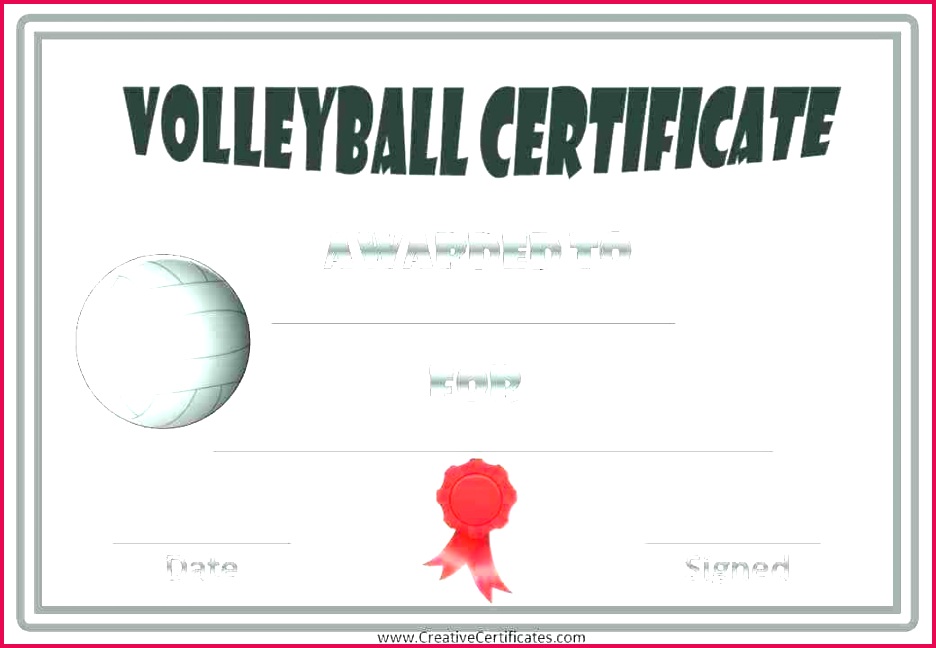 Volleyball Certificate Templates Word Certificates Free Award 936648 volleyball award ideas printable certificate templates template roster sheet images of free paper plate