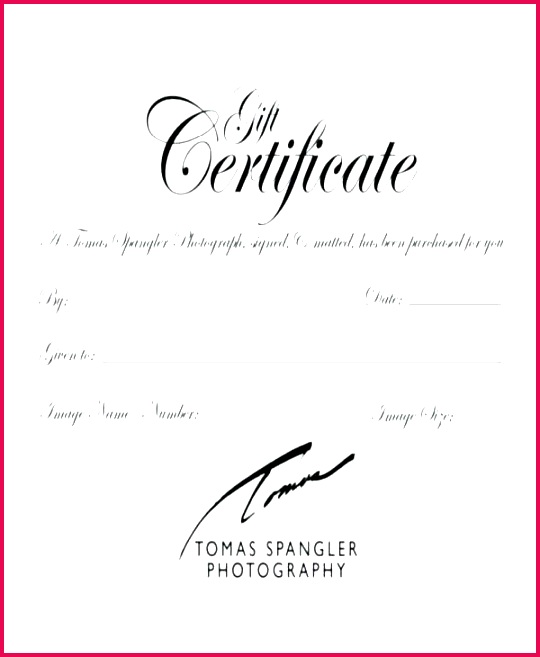 t certificate coupon template floral monster one photography coupon template free photography coupon templates white