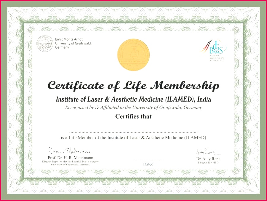 aesthetic medical treatment membership certificate template llc free templates
