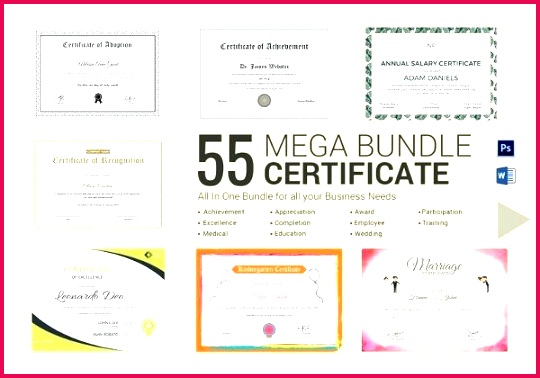 mega certificate bundle example ms office template microsoft training templates word
