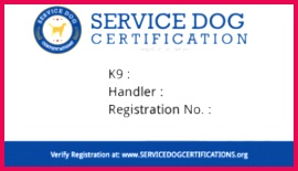 Service dog registration card 300x173