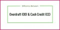 7 Payment Certificate Sample Letter