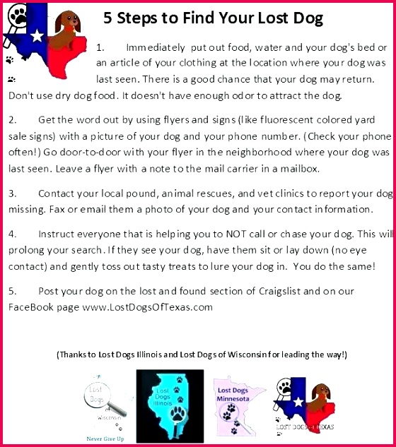 equipment bill of sale template dog beautiful puppy and taxes inspirational gallery sales contract best form animal