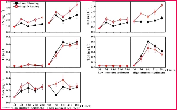 free free sports templates free templates for certificates turabian 2019