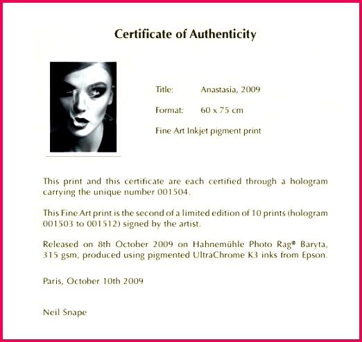 artist certificate of authenticity template art microsoft word