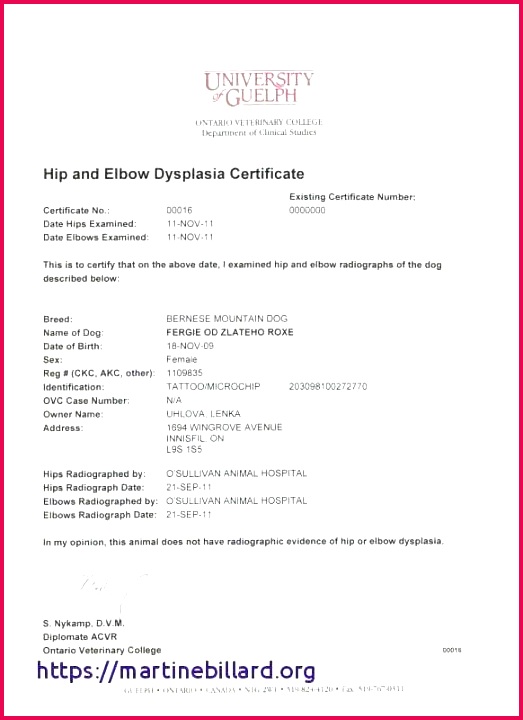 service dog certificate template and baby unique in spanish an