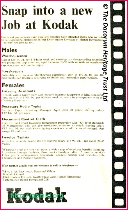 wel e certificate template awesome free pet birth certific