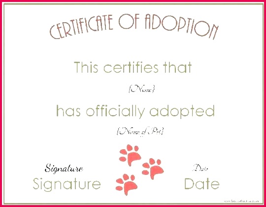 free cat birth certificate template adoption customize online c geeksforgeeks a