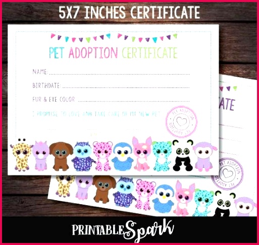 beanie boo adoption party certificate template