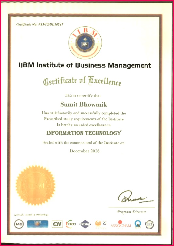 IIBM Executive MBA Course pletion Certificate 574812 iibm executive mba course pletion certificate 1 638